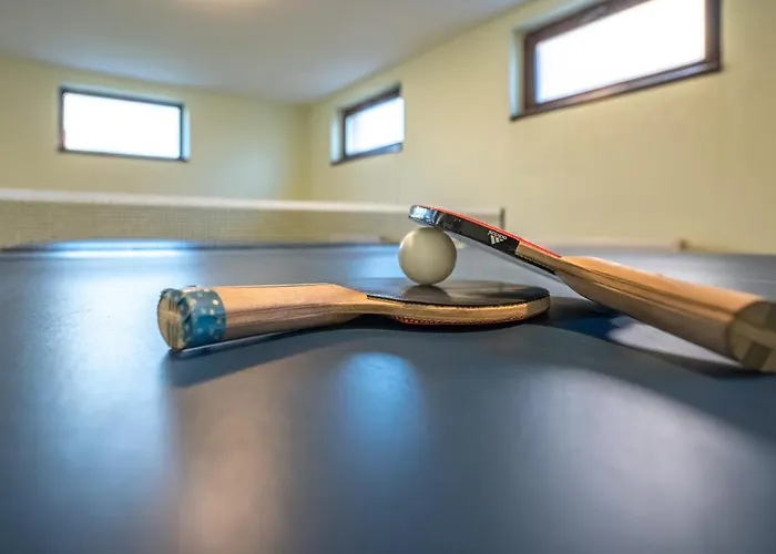 Roots Redwood Brasov