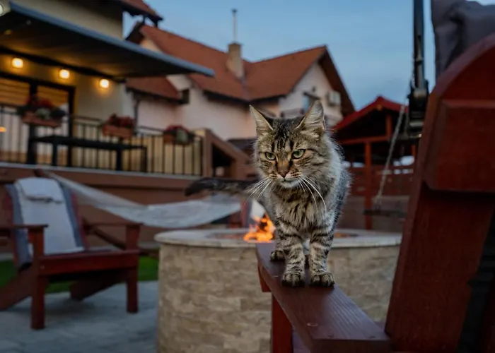 Guest house Roots Redwood *