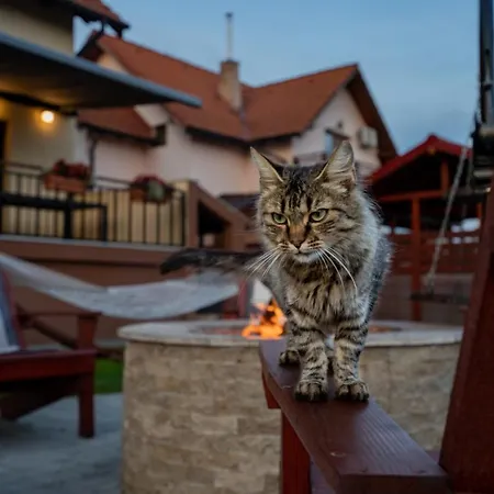 בית הארחה Roots Redwood *